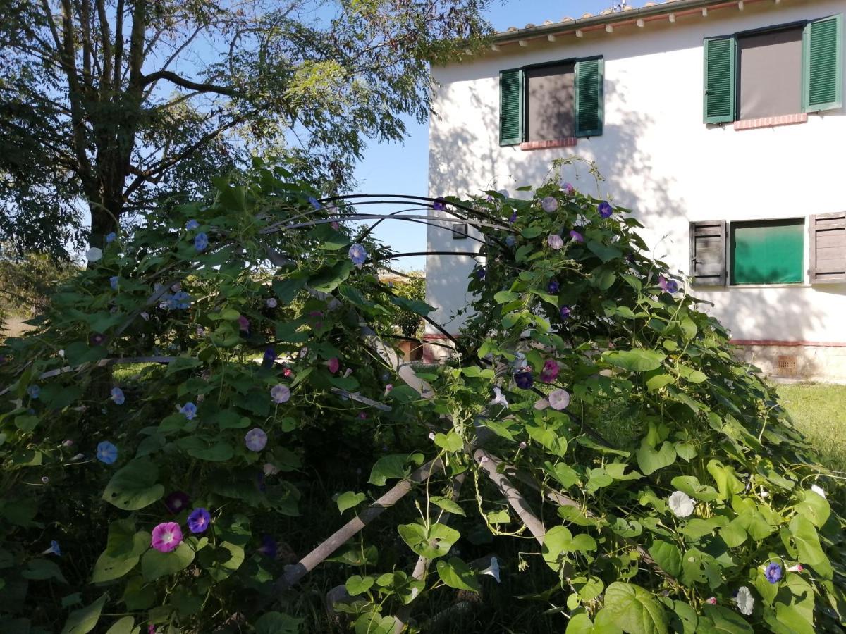Gasthaus Da Pino Montemerano Exterior foto